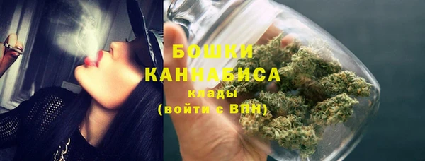 прущий лед Богданович