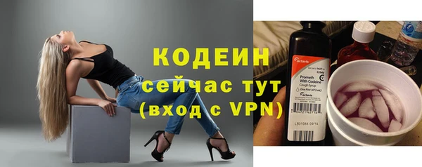 прущий лед Богданович