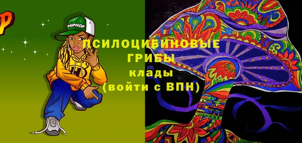 прущая мука Богородицк