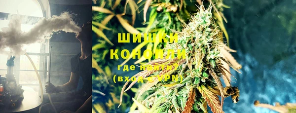 прущий лед Богданович