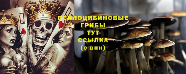 прущий лед Богданович